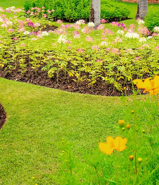 contact_us_green_grass