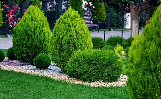 landscape_design_1