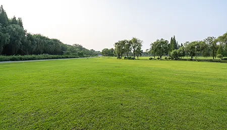 landscape_design_3