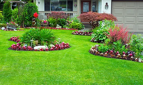 welcome_green_grass_1