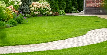Landscape Maintenance & Cleaning