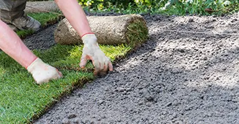 New Lawn Installation