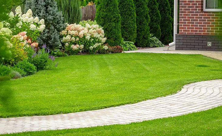 landscape-maintenance-cleaning