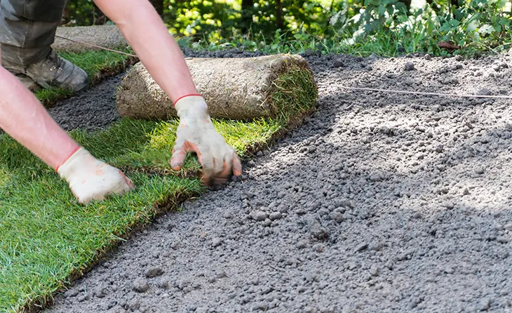 new-lawn-installation